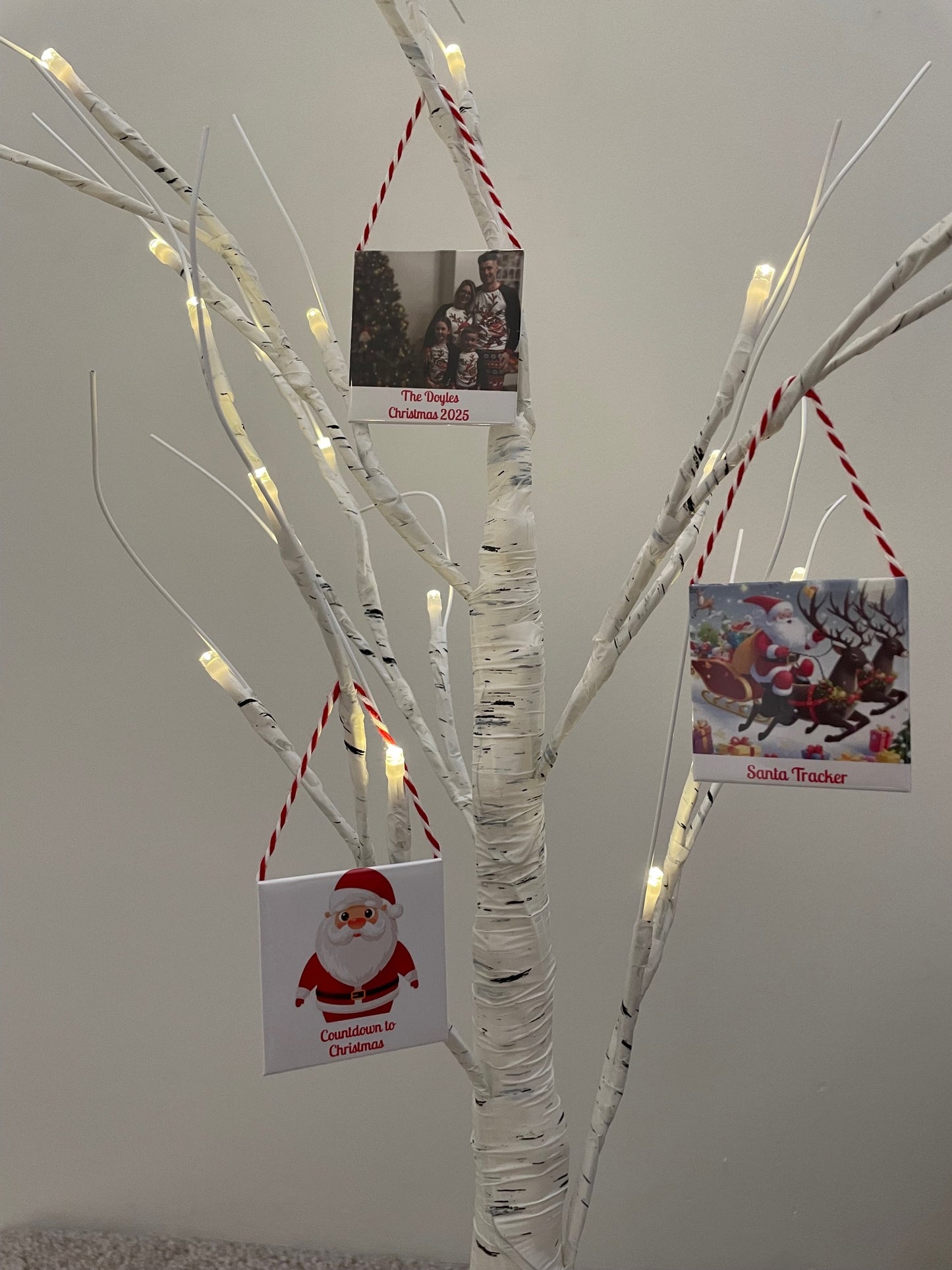 Christmas Pack 2025 Set of 3 Magnets /Decorations.