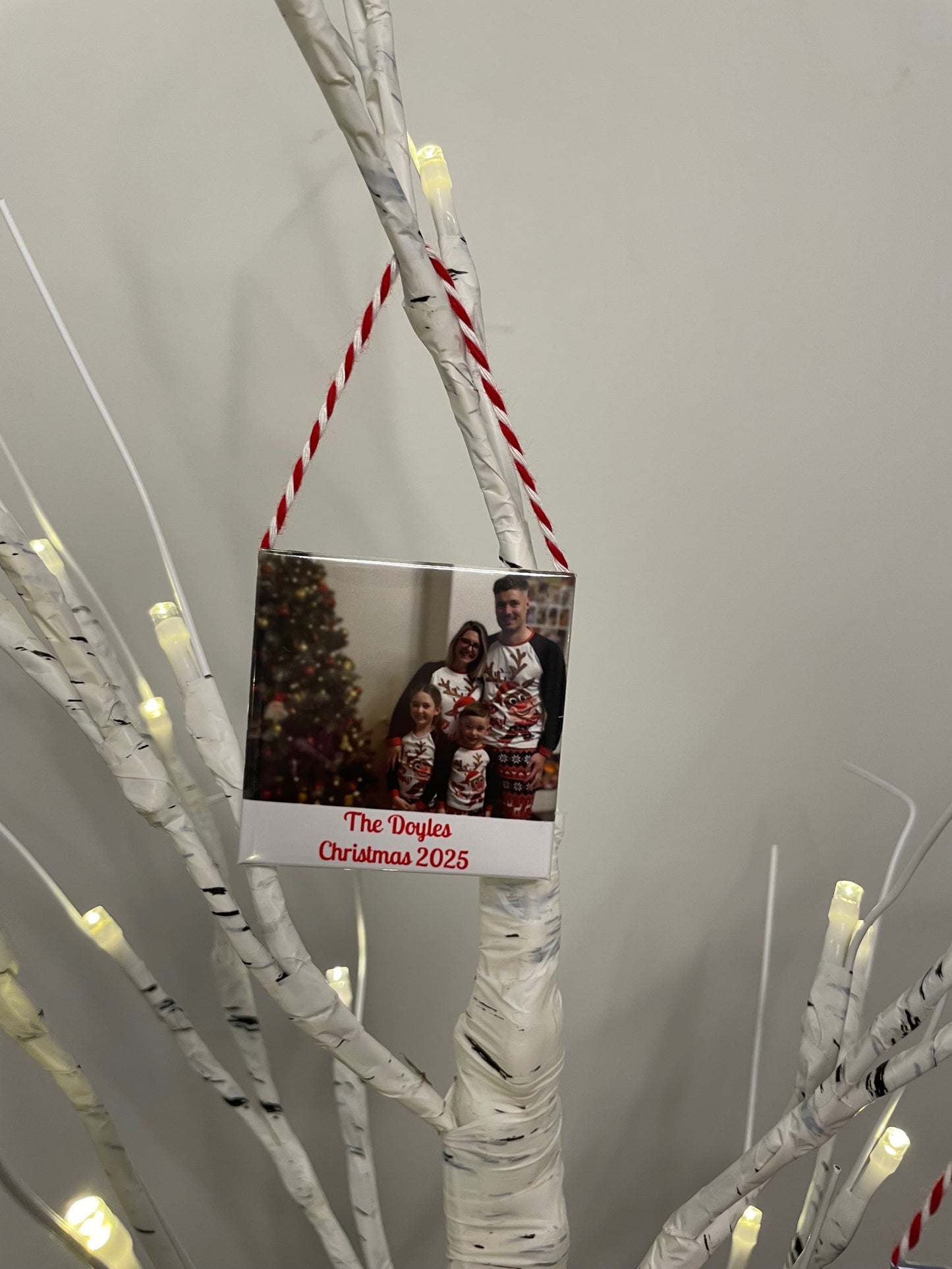 Christmas Pack 2025 Set of 3 Magnets /Decorations.