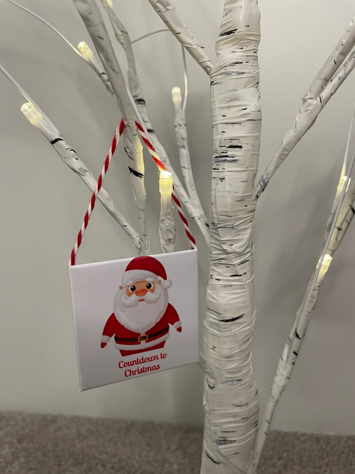 Christmas Pack 2025 Set of 3 Magnets /Decorations.